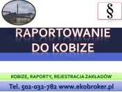 Raportowanie do Kobize, cena tel, 502-032-782, wykonanie zgłoszenia 2017,2018