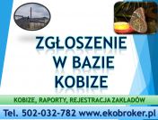 Jak wypełnić Raport do Kobize, do kiedy i jak złożyć raport do bazy emisji