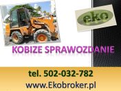 Jak wypełnić Raport do Kobize, do kiedy i jak złożyć raport do bazy emisji