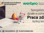 Specjalista w dziale e-commerce - praca zdalna / z orzeczeniem