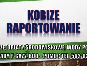Wypełnienie raportu do Kobize, cena, tel. 504-746-203. Krok po kroku