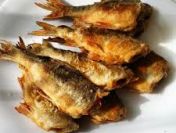 HACCP - opracuje dokumetacje