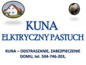 Odławianie kun, tel. 504-746-203. Skuteczny sposób na kunę na dachu