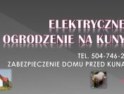 Ogrodzenie na kuny, pastuch, montaż, elektryczny, odłowienie, ochrona, kuna