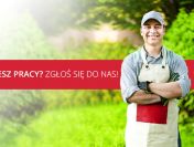 PRACOWNIK DO OBSŁUGI ZMYWARKI I SORTOWANIA SŁOIKÓW (M/K)