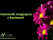 Praca za granicą- Pracownik magazynu z kwiatami- od zaraz!
