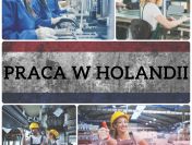 PRACA W HOLANDII - Order Picker
