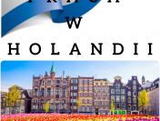 Pracownik szklarni z truskawkami - Holandia