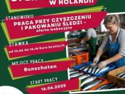 Praca w Holandii na wakacje - Czyszczenie i pakowanie śledzi (M/K)