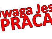 Praca w Holandii – Prasowanie, Maglowanie i Sortowanie Prania