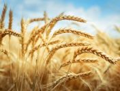 Pożyczki hipoteczne dla rolników bez BIK i KRD