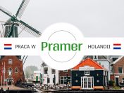 Pracownik szklarni - papryka | bez języka - praca w Holandii