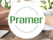 Pracownik szkółki drzewek - brak wymagań ✅  - praca w Holandii