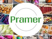 Praca w szklarni - zbiór papryki | bez języka ???? - praca w Holandii