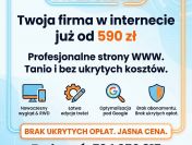 Strona internetowa już od 590 zł - BEZ PRZEPŁACANIA! + DODAWANIE OGŁOSZEŃ