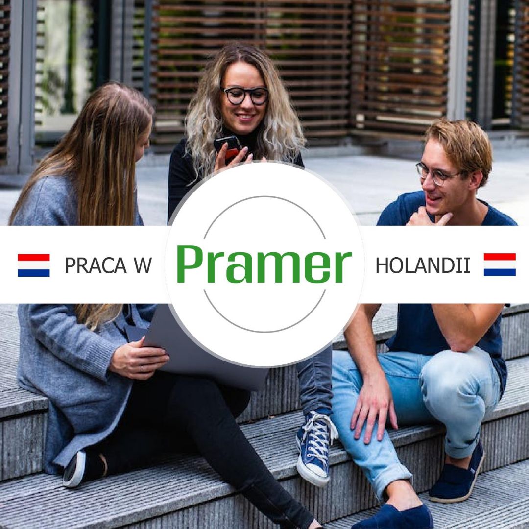 Pracownik przy zbiorze pieczarek - praca w Holandii  - Zdjęcie 1