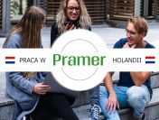 Pracownik przy zbiorze pieczarek - praca w Holandii