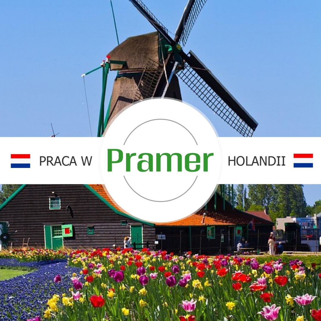 Pracownik produkcji filetów z kurczaka  - praca w Holandii  - Zdjęcie 1