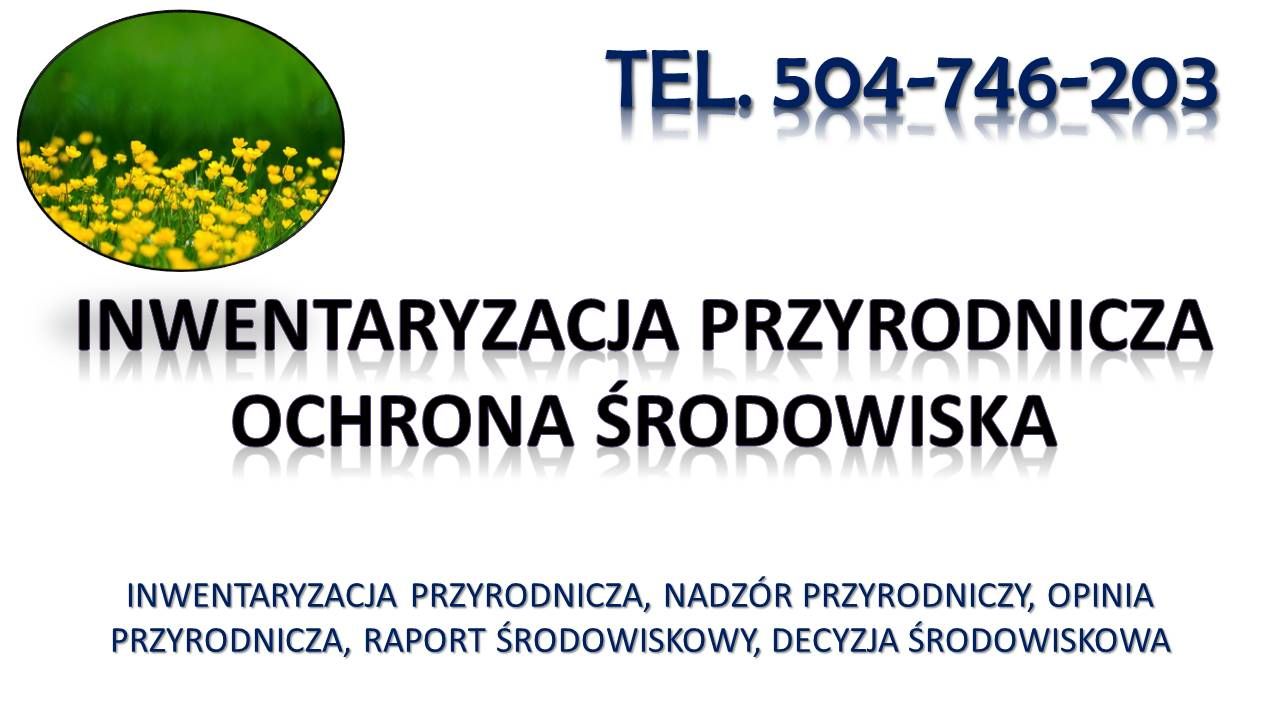 Inwentaryzacja przyrodnicza, raport środowiskowy, tel. 504-746-203,  - Zdjęcie 1