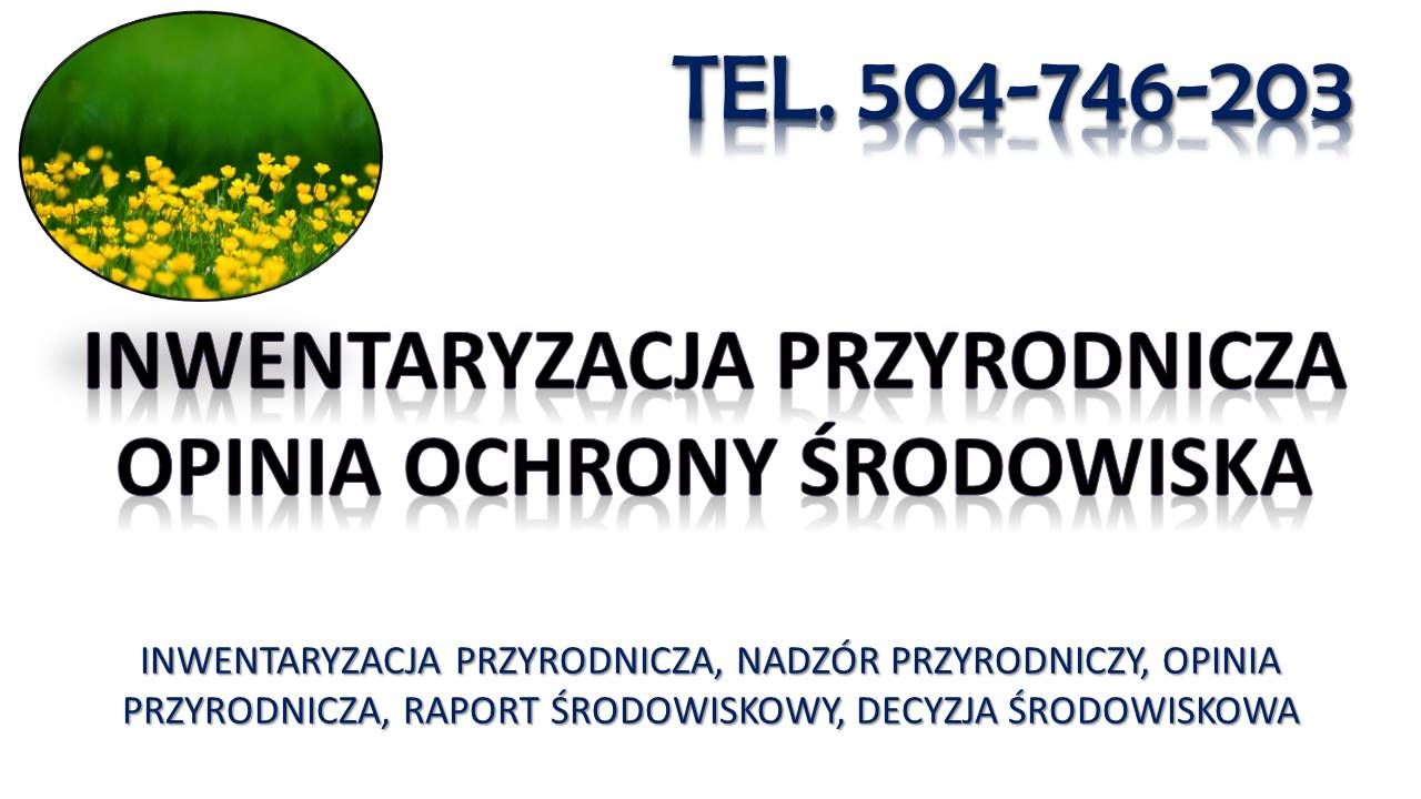 Wykonanie inwentaryzacji przyrodniczej, raportu środowiskowego, t. 504746203  - Zdjęcie 1